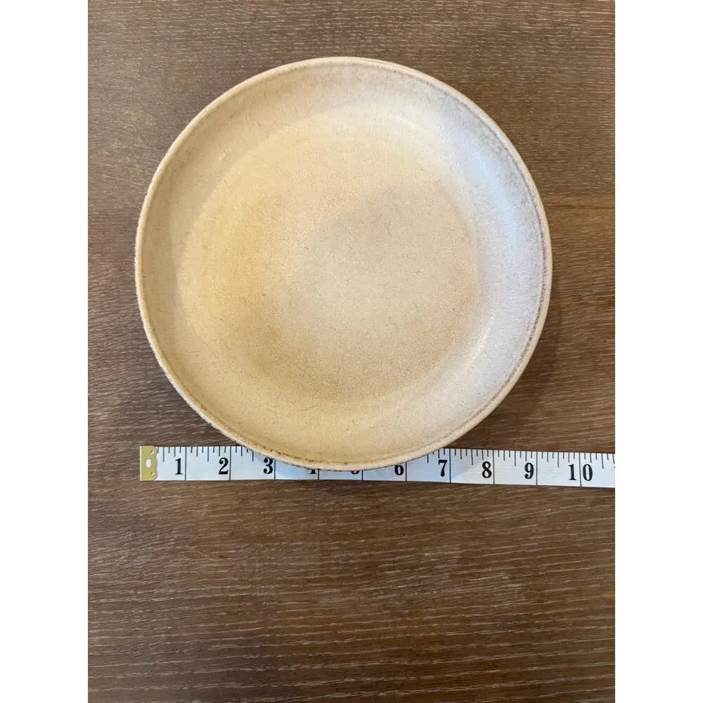 Anthropologie Cream Rustic Boho Ceramic 9 inch diameter Plate Bowl